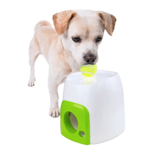 Juguete Interactivo Fetchin Treat