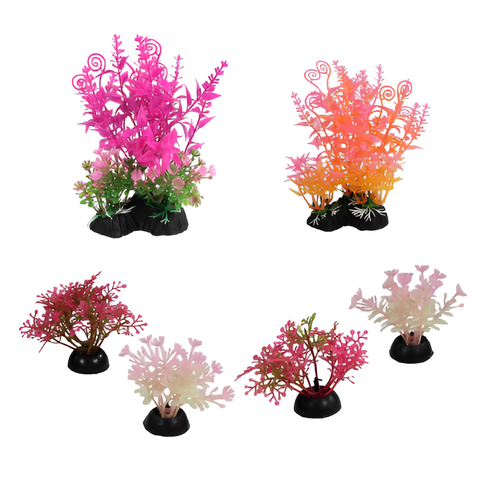 Kit De Plantas Para Pecera 6-PC