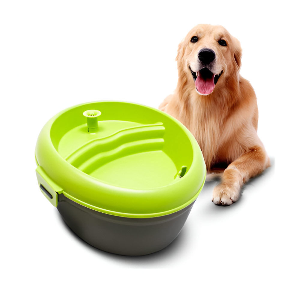 Fuente De Agua Para Gatos Verde