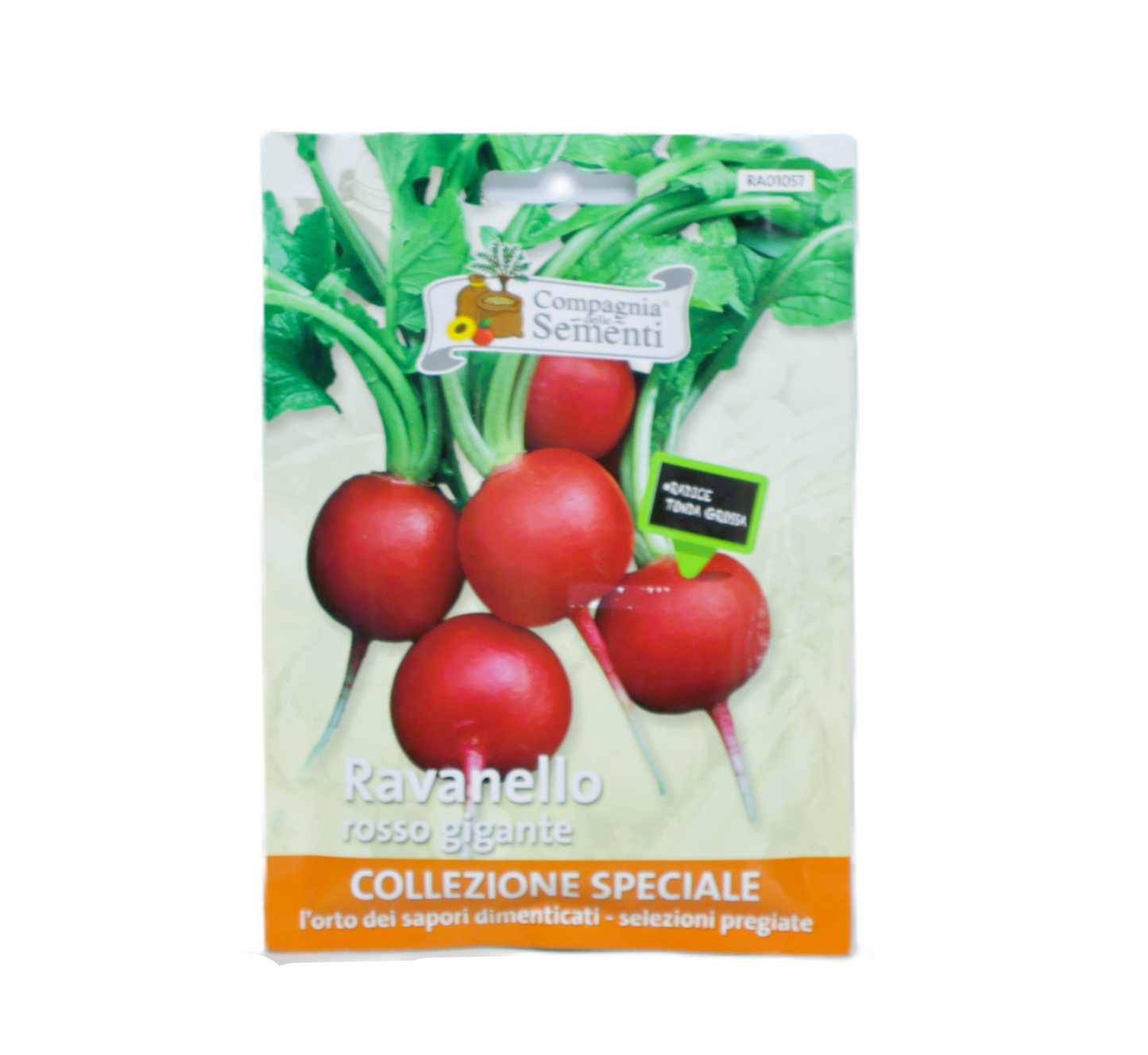 Semilla De Rábano Burro Gigante Sobre