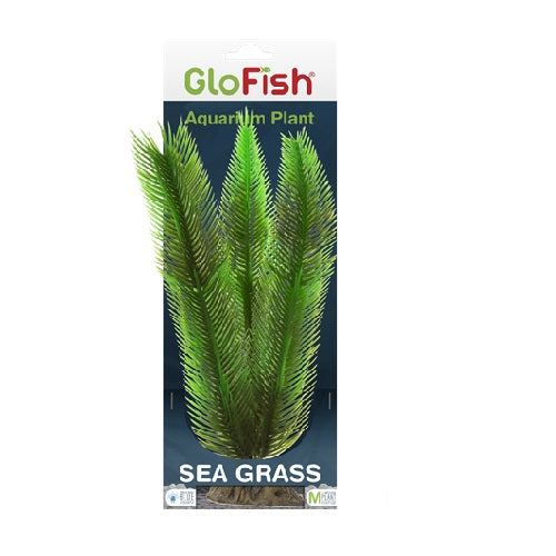 Planta Hierba De Mar-Glofish -M