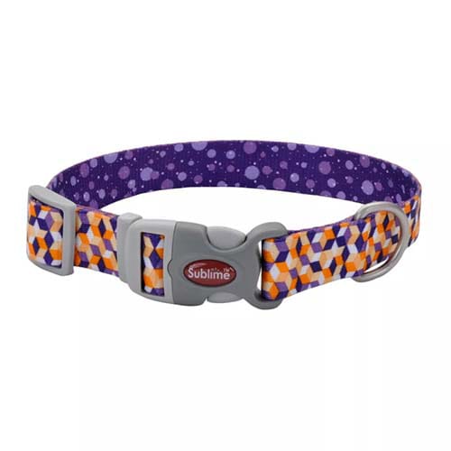 Collar para Mascota Púrpura y Naranja