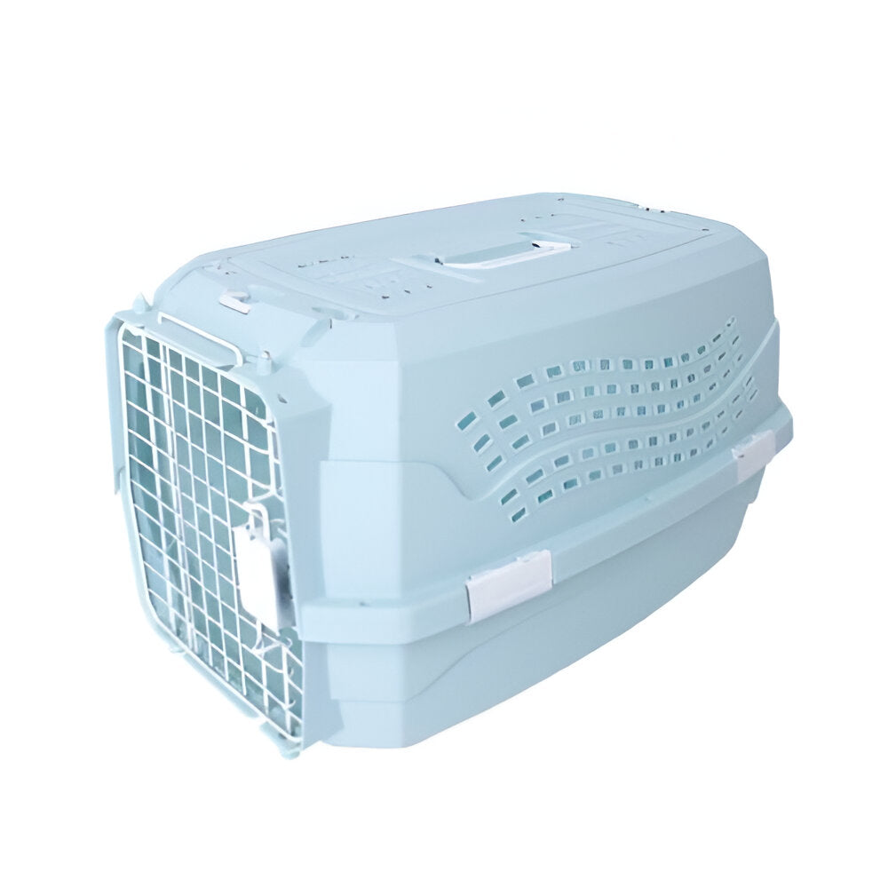 Kennel Celeste de Mascota- M