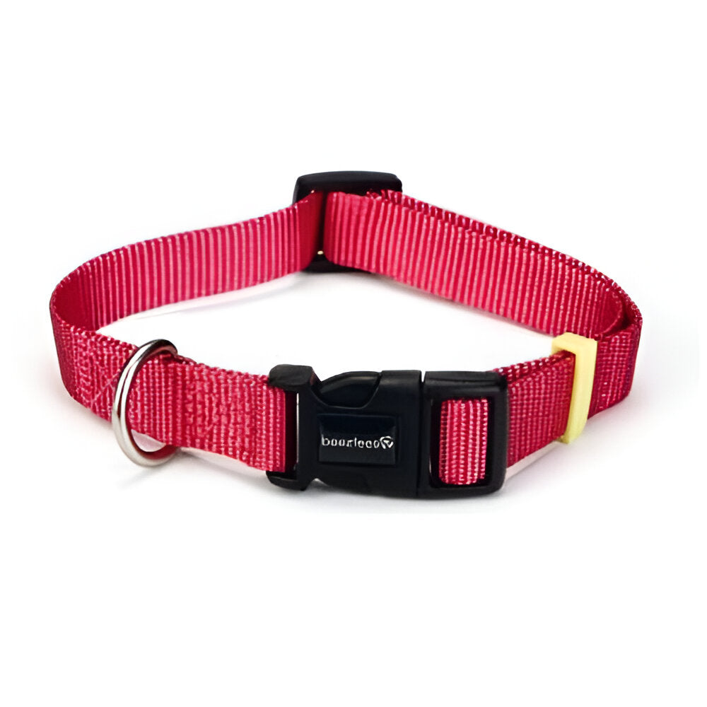 Collar Rosa 35-50 Cm -20M