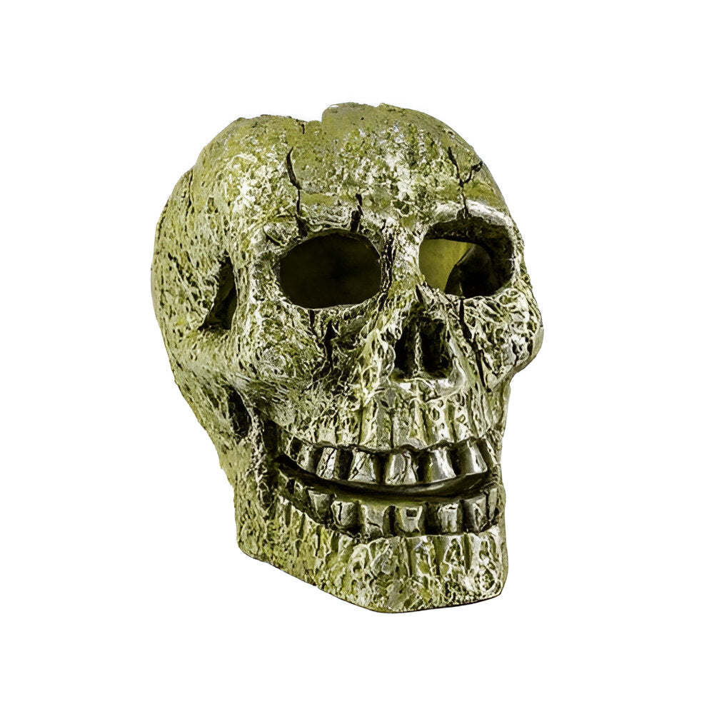 Adorno para Pecera Calavera