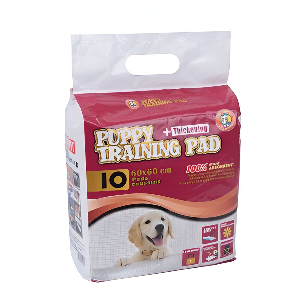 Pads Entrenamiento 10 unidades 60x60cm