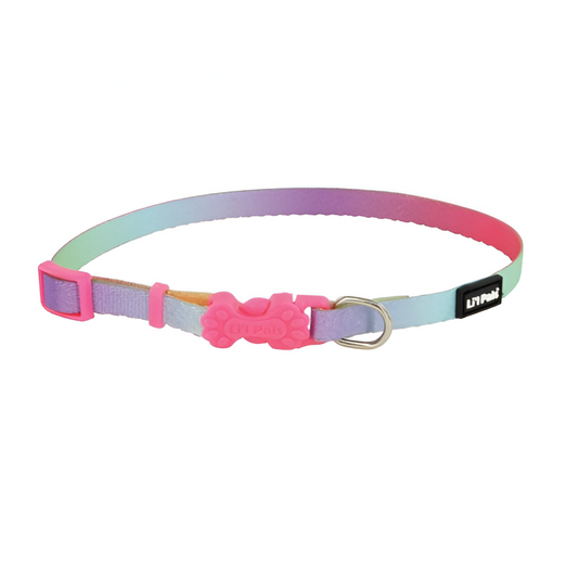 Collar De Cachorro Arcoiris Coastal