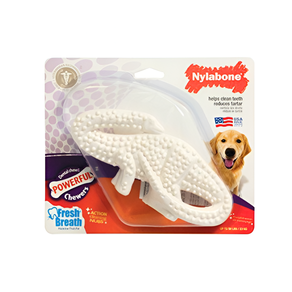 Juguete Dinosaurio Nylabone