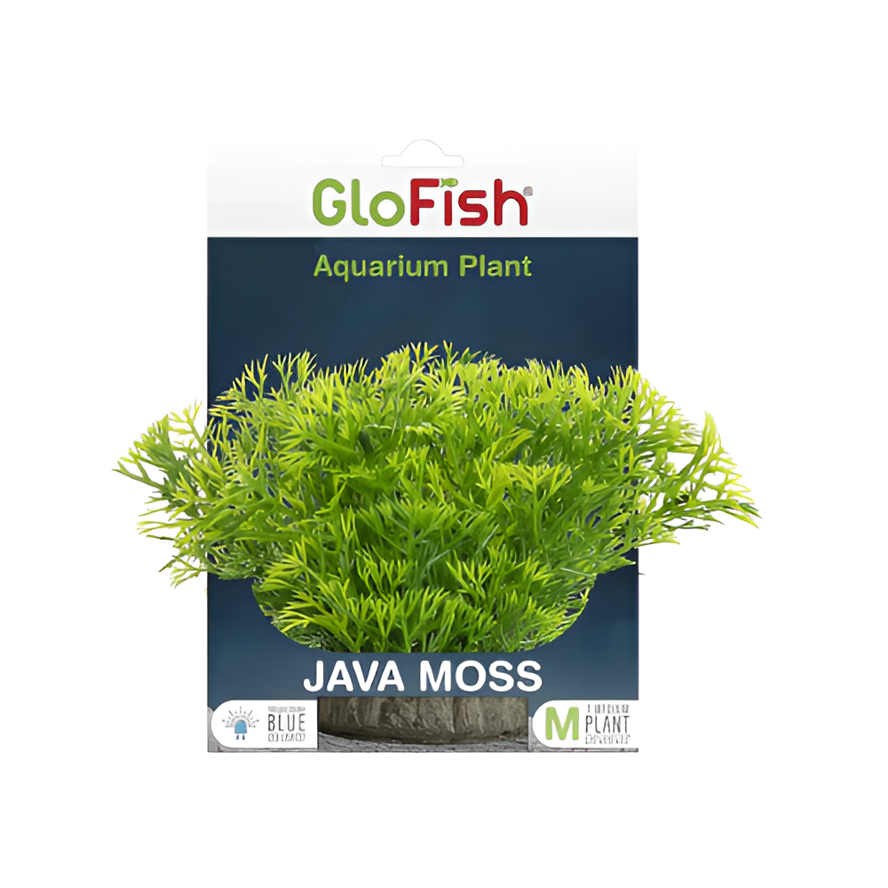 Planta Javamoss-Glofish -S