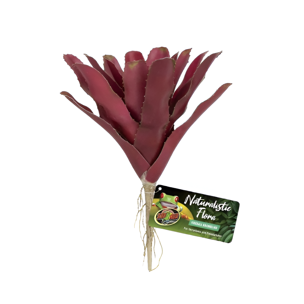 Planta Fireball Brom paraReptario Bu-60