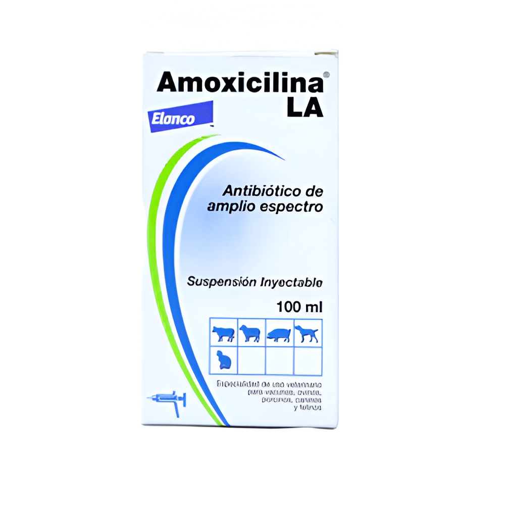 Amoxycilina L.A. 100 Ml