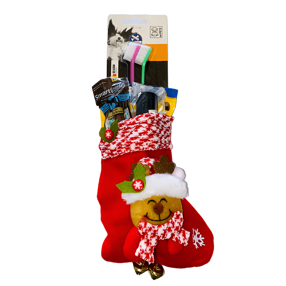 Kit Bota Navideña para Perro