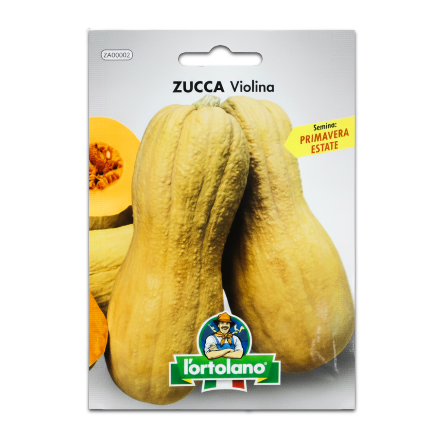 Semilla De Calabaza Violina Sobre