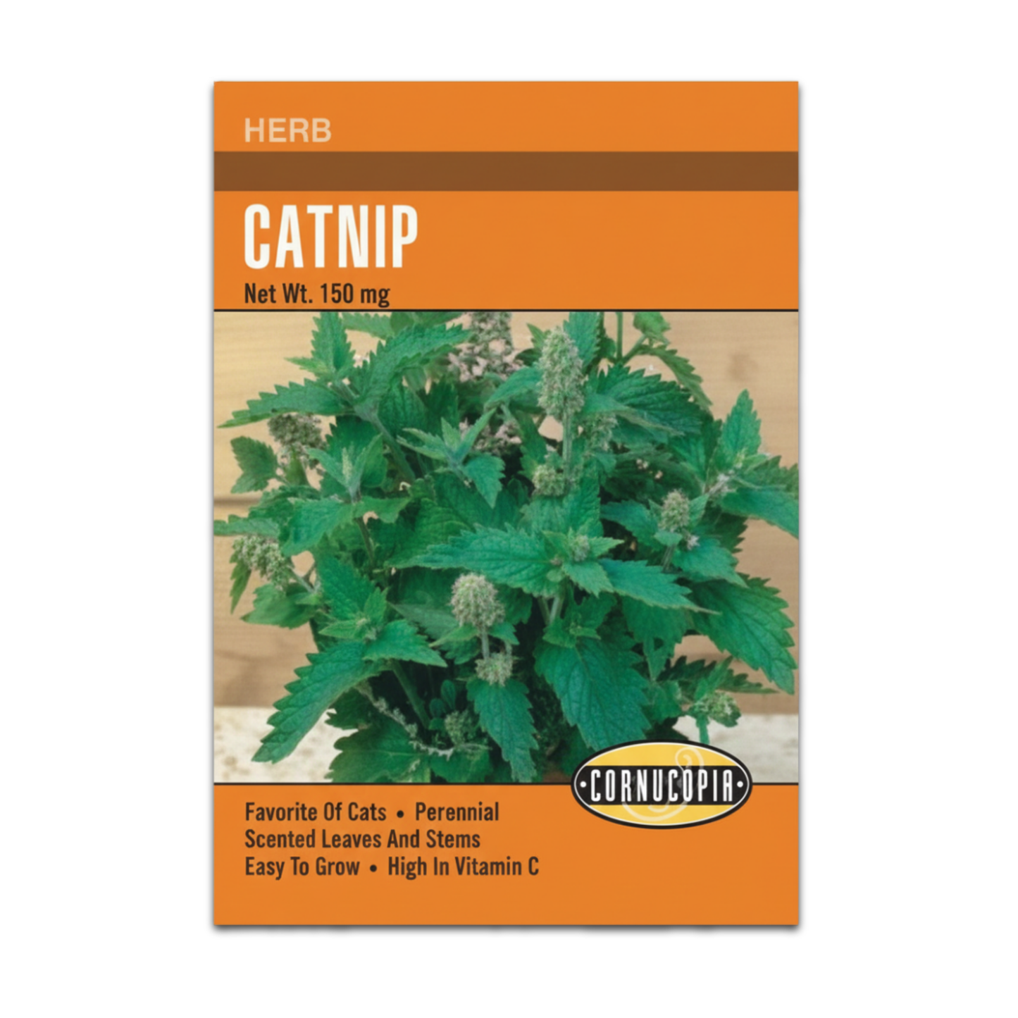 Catnip