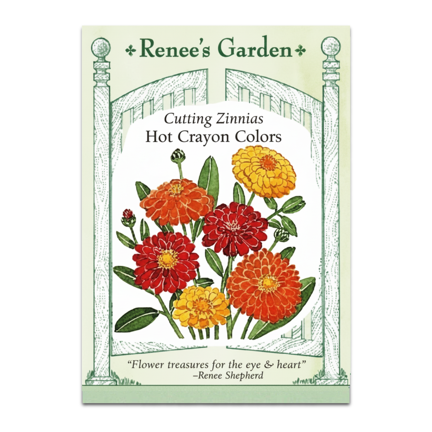 Zinnia De Colores