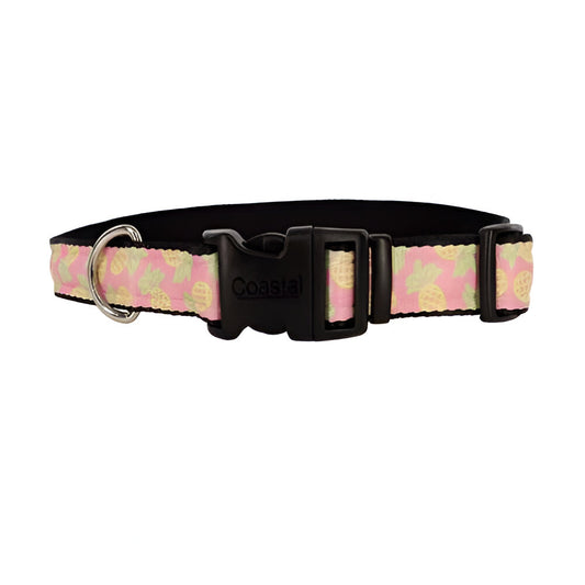 Collar Amarillo Pinita 1" x 14" 20"