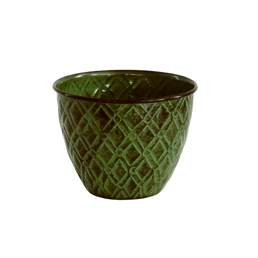 Potes Diamante 5" Verde Kale