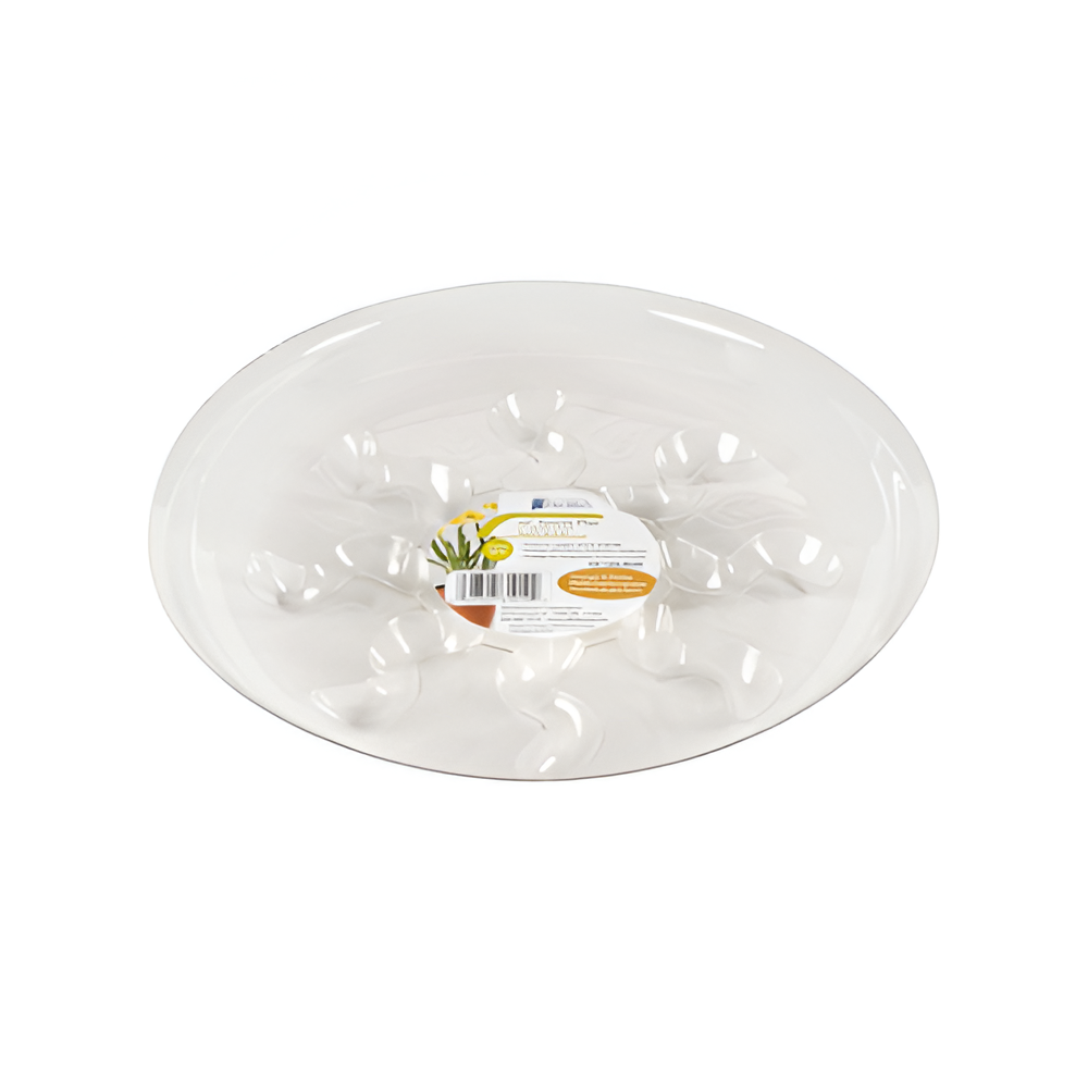 Plato Transparente para Potes 6"