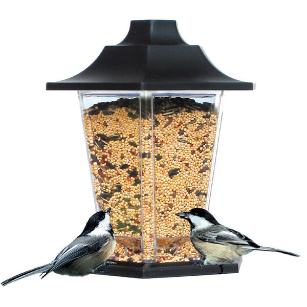 Comedero Para Aves 1.5 LB