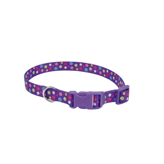 Collar para Mascota con Diseño de Huellitas