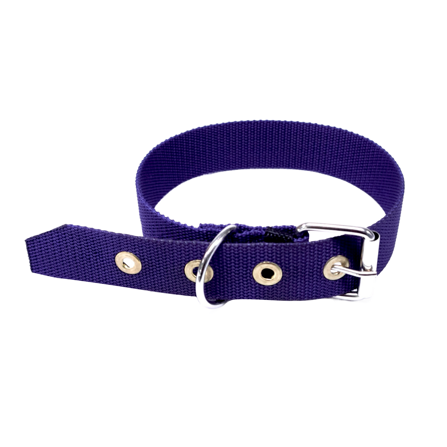 Collar Para Mascota- #22 Sencillo