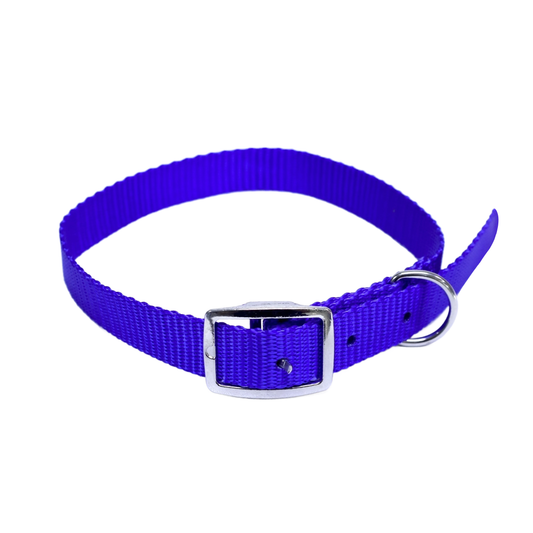 Collar Para Mascota Azul Nylon- 3/4"x22"
