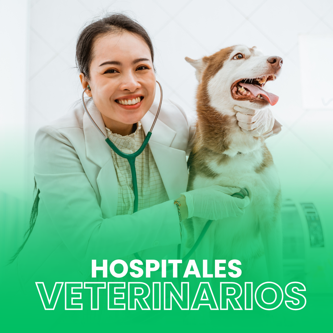 Atención Veterinaria en Hospitales