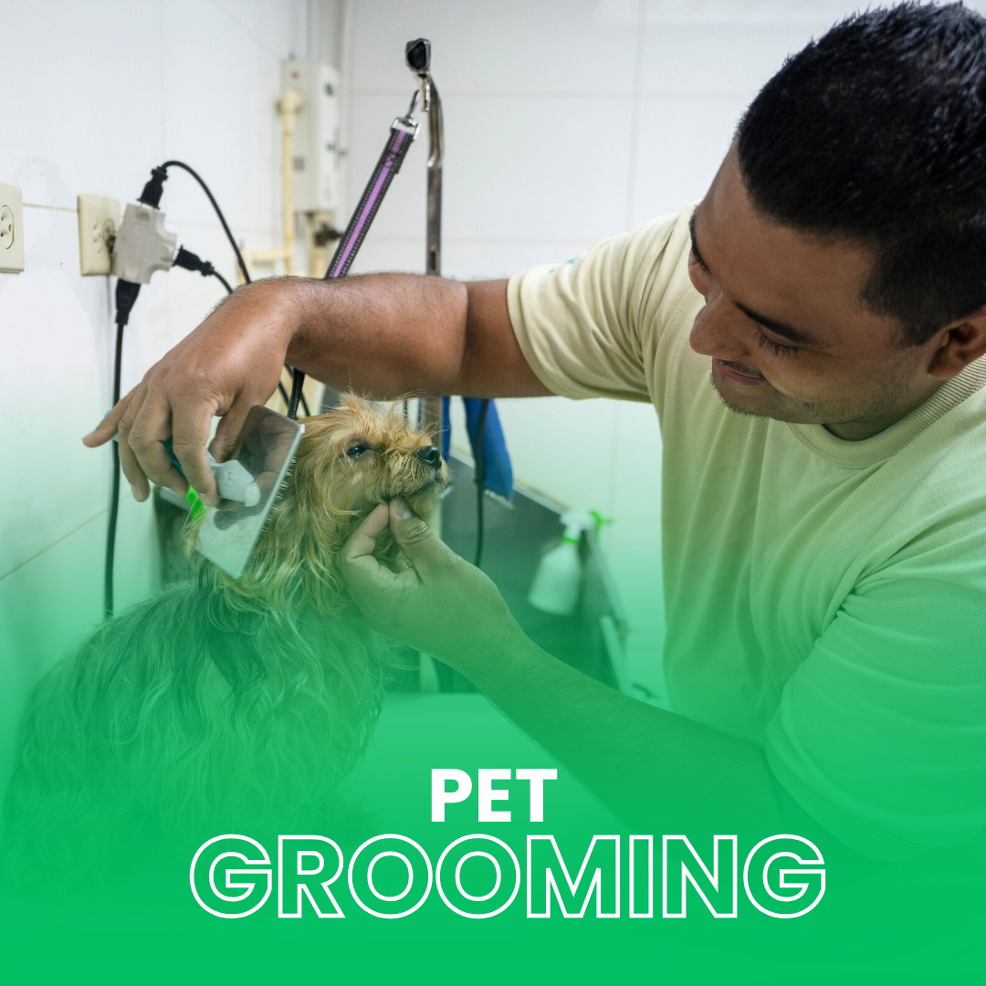 Servicios de Peluquería