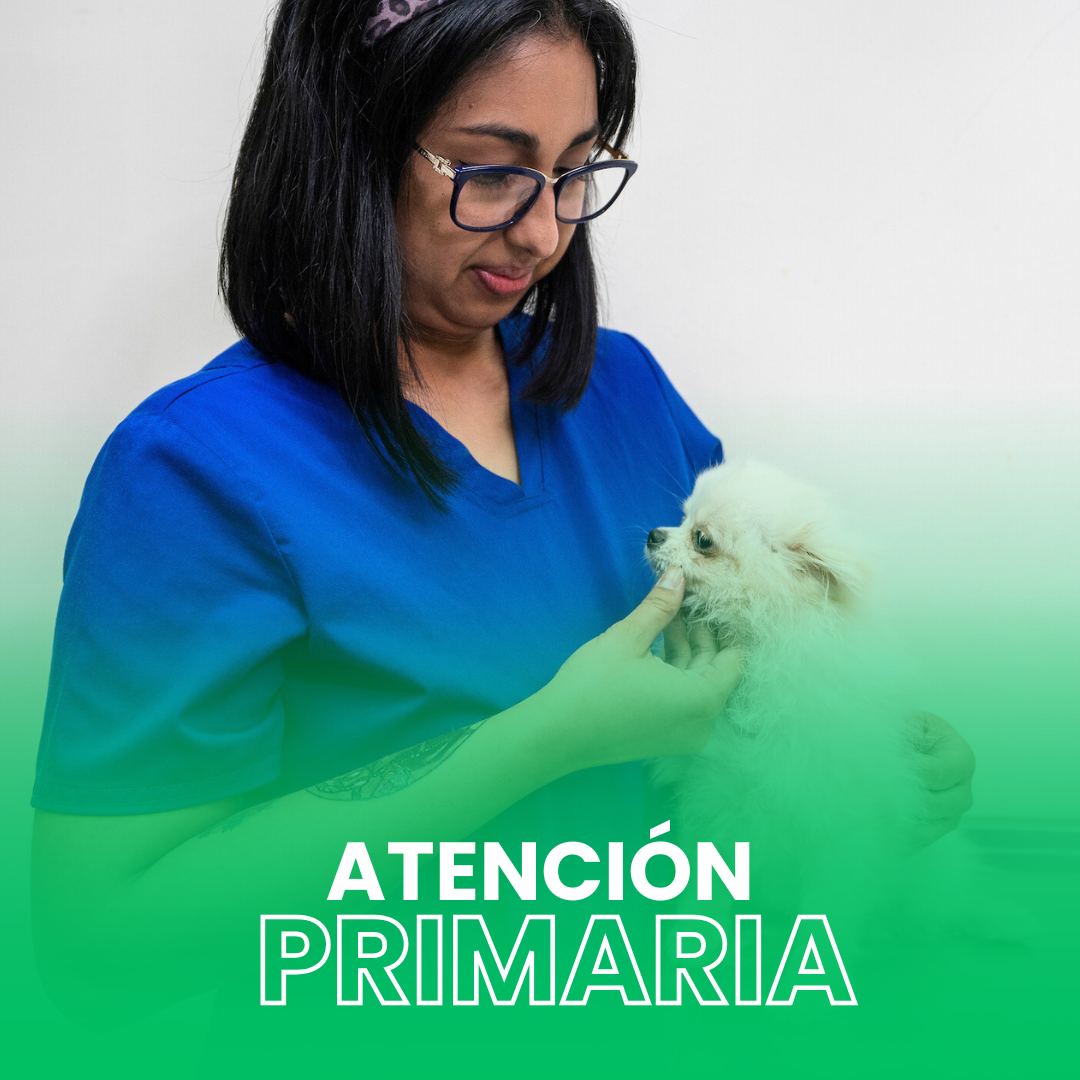 Atención Veterinaria en Sucursal