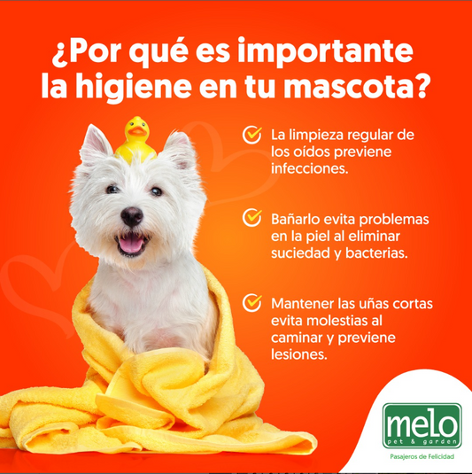 ¿Por qué es importante la higiene en tu mascota?