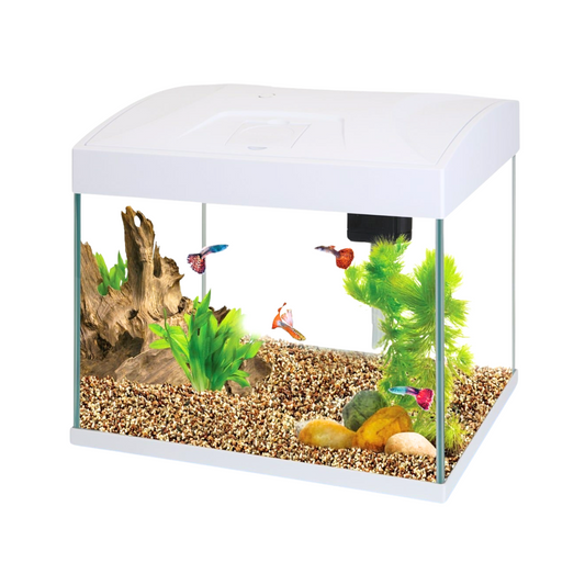 Pecera D Vidrio 15L/ 4G Blanca