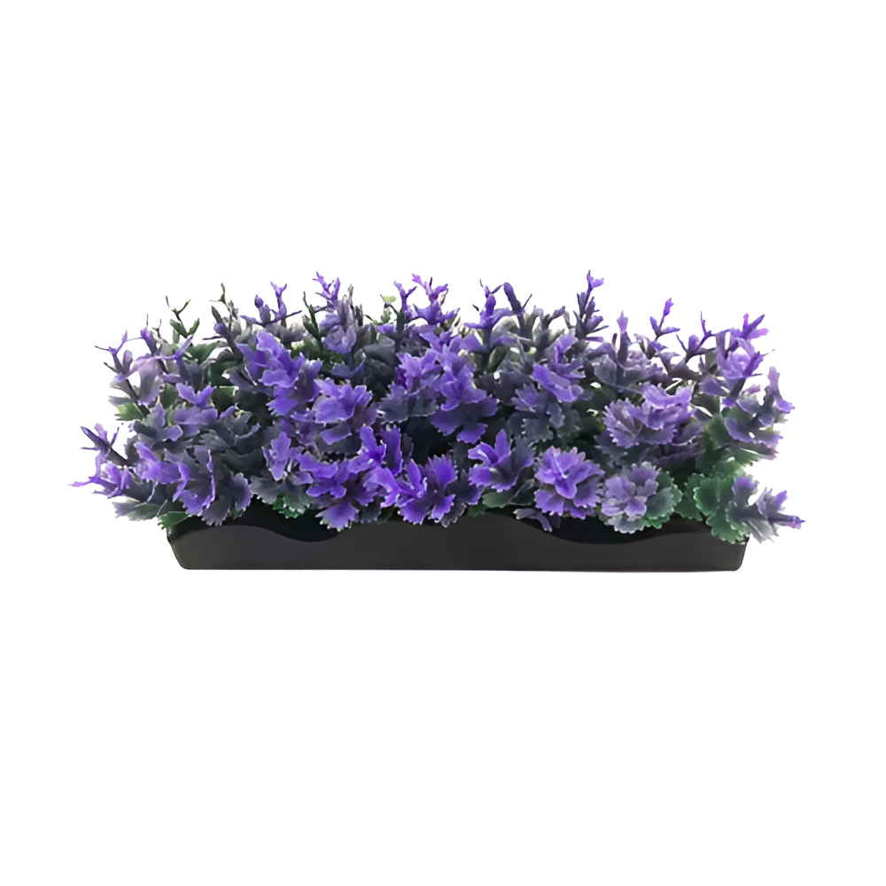 Planta Morada para Pecera Ud