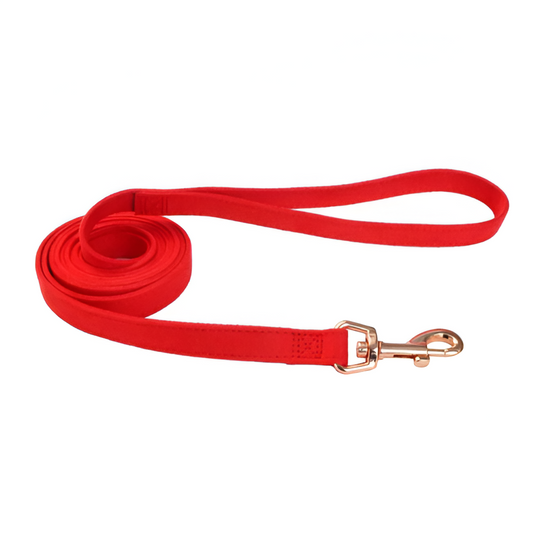 Guia Roja 5/8