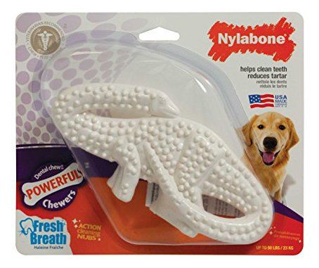 Juguete Dinosaurio Nylabone