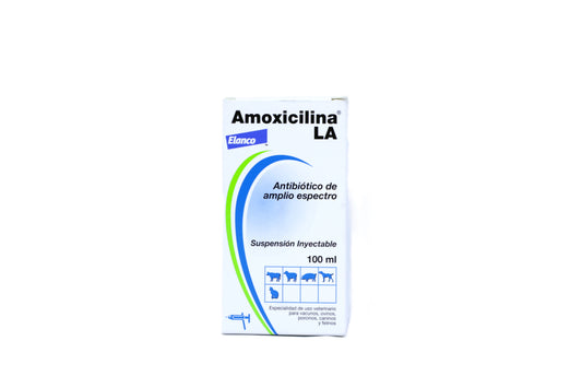 Amoxycilina L.A. 100  Ml