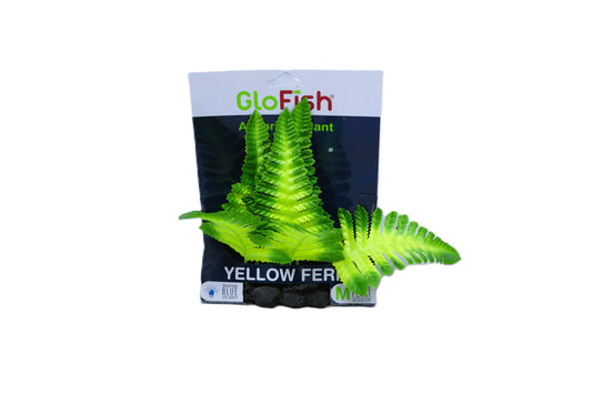 Planta Fer Amarilla Glofish S