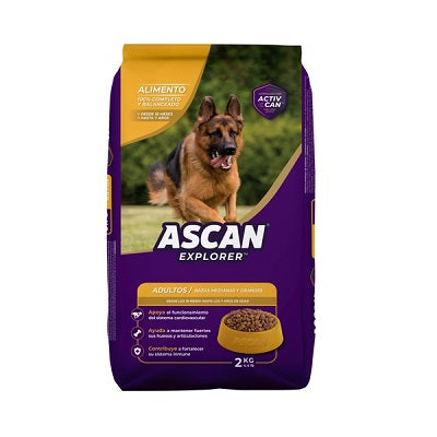 Alimento Seco Para Perros Adultos Ascan Explore