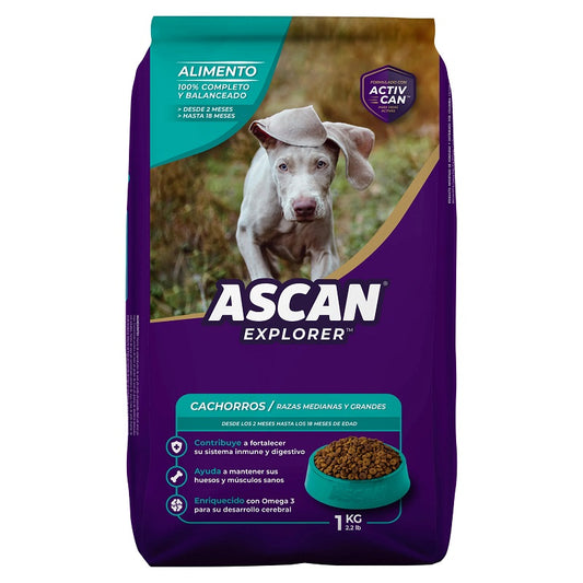 Alimento Seco Para Cachorros Ascan 1 Kg