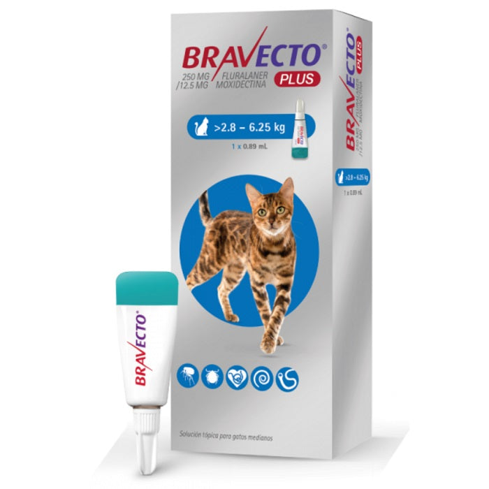 Bravecto Plus Para Gatos