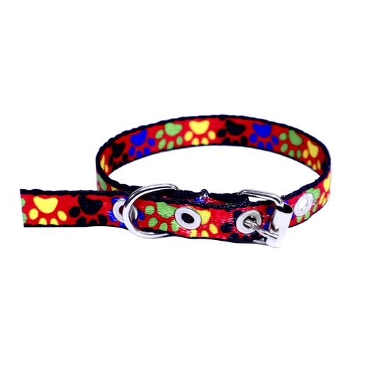 Collar Para Mascota- #12 Sencillo