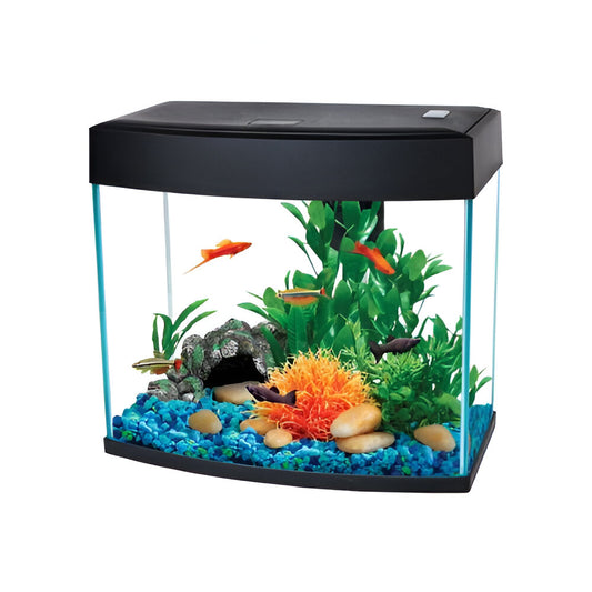 Pecera Accesorios peces – Page 8 – MELO Pet and Garden
