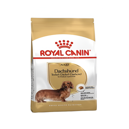 Alimento Seco Para Perros Royal Canin Dachshund 1.5 Kg