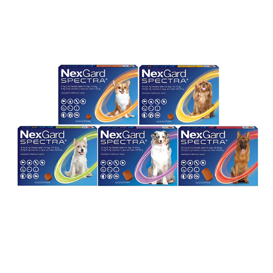Desparasitante Interno y Externo para Perro Nexgard Spectra