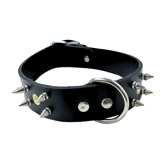 Collar de Cuero #2