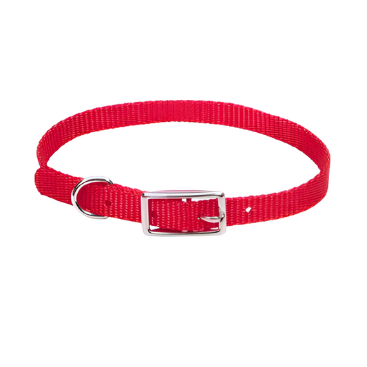 Collar Rojo 12"