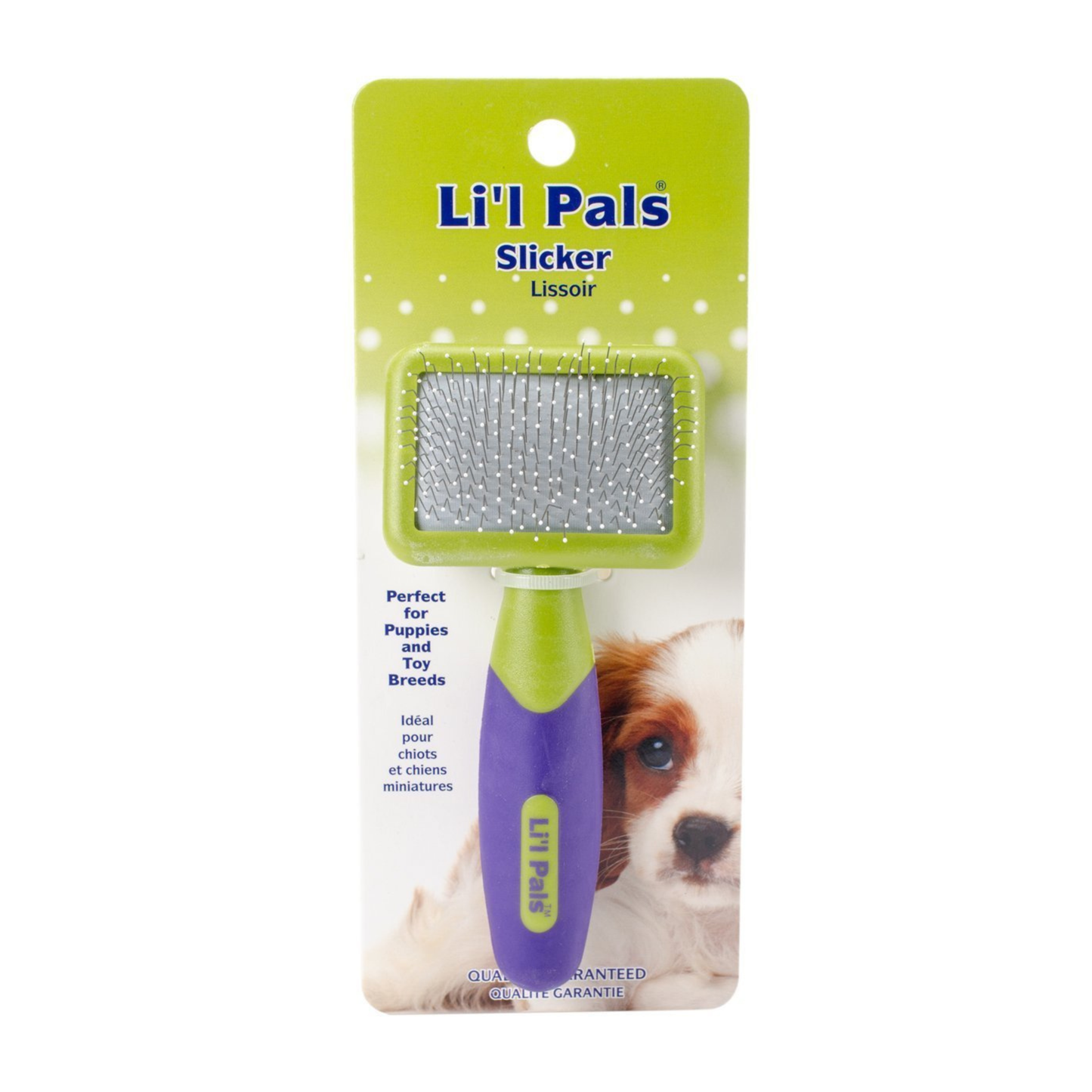Cepillo Para Cachorro Coastal