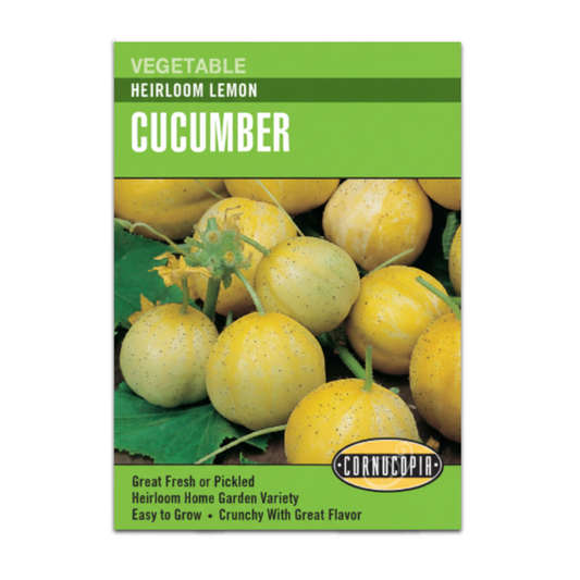 Pepino Cucumber Lemon