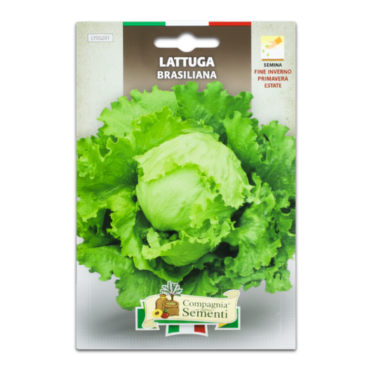 Sobre de Semilla Lechuga Great Lakes