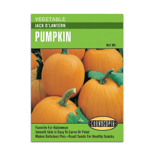 Calabaza Jack O Lantern