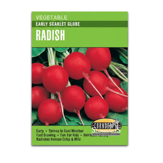 Rabano Scarlet Globe